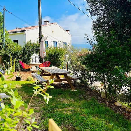 La Cave Marine Du Trottel Apartment Ajaccio  Ngoại thất bức ảnh